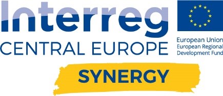 Logo Synergy