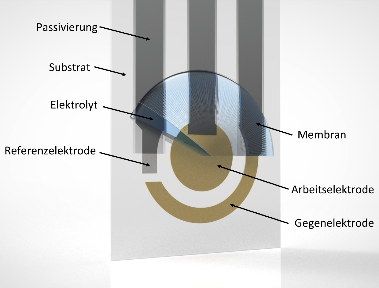 Schematische Darstellung eines amperometrischen Sensors