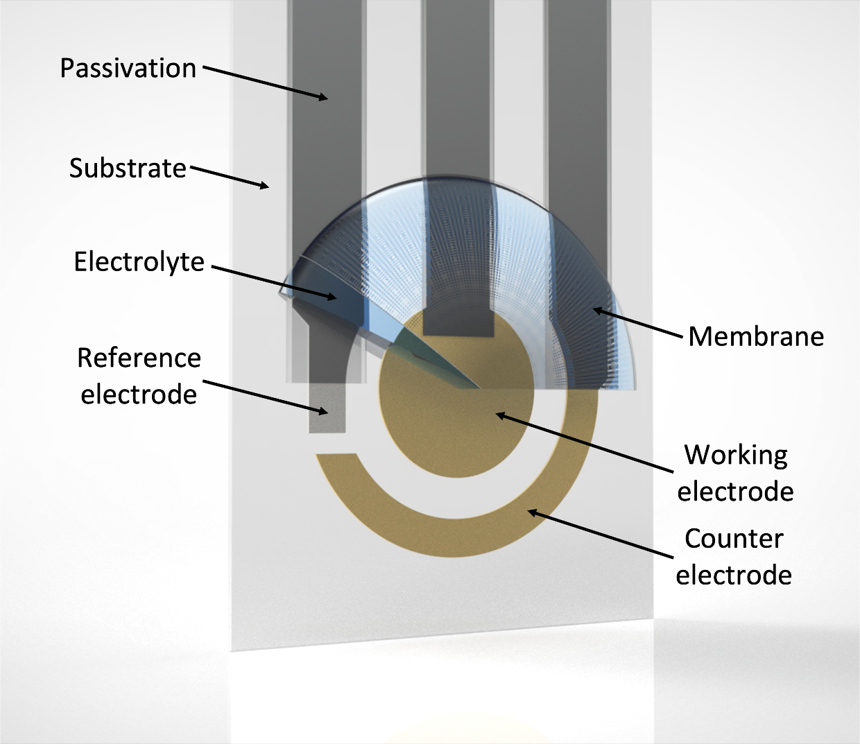 Schematic illustration of an amperometric sensor